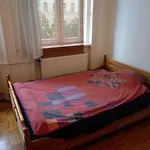 Hotel Deluxe